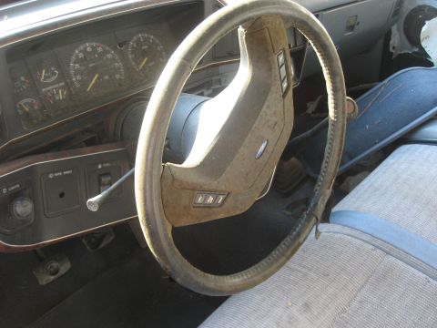 1981 Ford Bronco photo