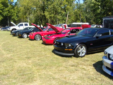 2007 Ford Mustang - Several Ford Mustangs are parked on a grassy field under a clear sky.