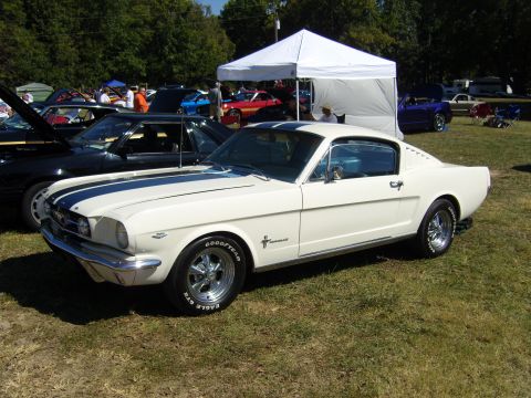 2007 Ford Mustang - A white 1965 Ford Mustang coupe with dual blue racing stripes is parked on a grassy field next to other vehicles.