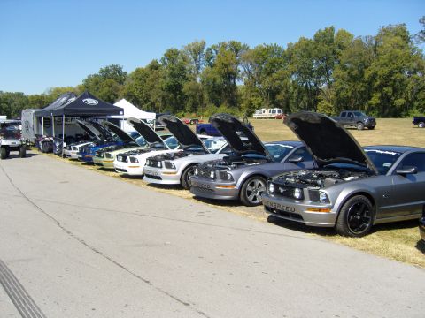 2007 Ford Mustang - Several Ford Mustangs are lined up with their hoods open at an outdoor event.