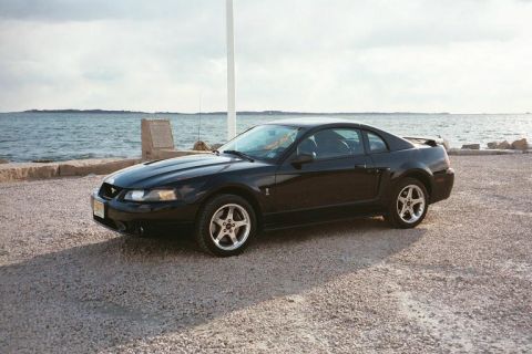 2001 Ford Mustang “PETSNKE”