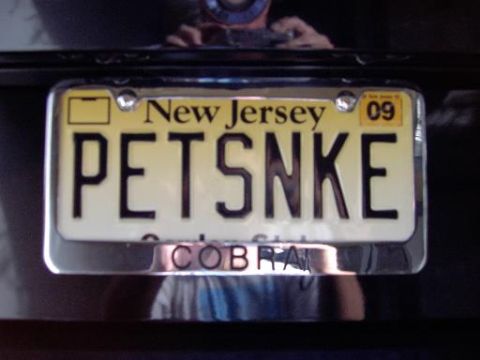 2001 Ford Mustang - Custom plate