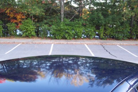 2001 Ford Crown Victoria - The reflection of trees and autumn foliage on the roof of a dark blue vehicle.