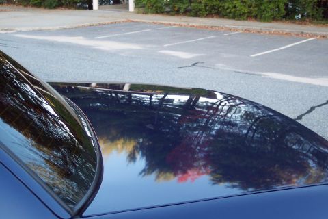 2001 Ford Crown Victoria - Reflection of trees and a parking lot on the dark blue roof and rear window of a car.