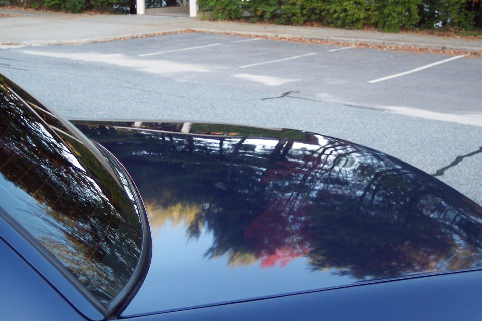 Dark blue car roof and rear window reflecting trees and a parking lot