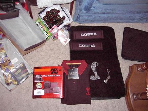 2001 Ford Mustang - My X-mas 2002 haul!!!