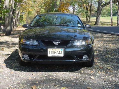 2001 Ford Mustang - Front view of a black 2001 Ford Mustang parked outdoors.