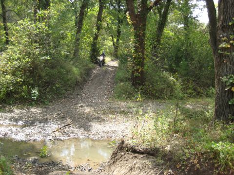 1993 Suzuki RMX250 - A motorcycle navigates a muddy trail surrounded by dense trees and foliage.