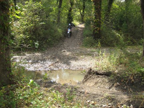 1993 Suzuki RMX250 - A lone dirt bike rider tackles a challenging muddy path in a wooded area.