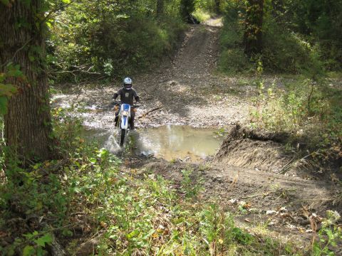 1993 Suzuki RMX250 - Rider navigates a water obstacle on a dirt trail surrounded by trees.