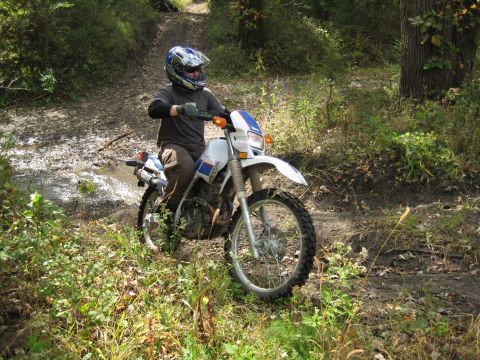 1993 Suzuki RMX250 - A rider navigates a wet and muddy path on a dirt bike, surrounded by lush green foliage.