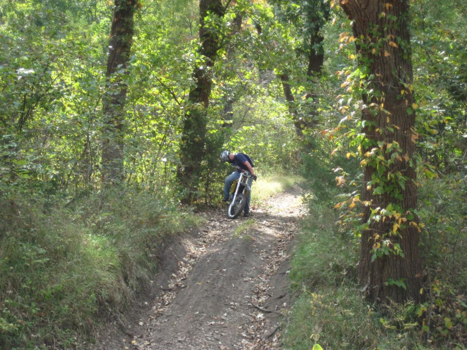 Dirt bike on a wooded trail with a rider