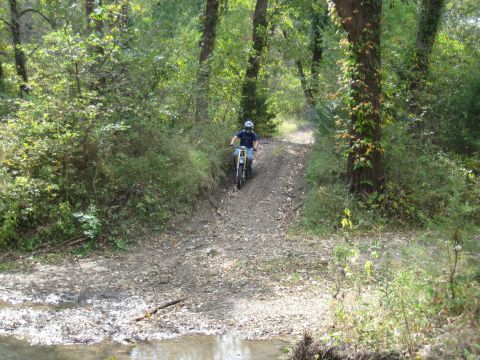 1993 Suzuki RMX250 - A dirt bike navigates a wooded trail with a stream crossing.
