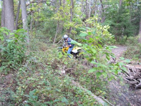 1993 Suzuki RMX250 - Rider navigates a wooded trail on a dirt bike.