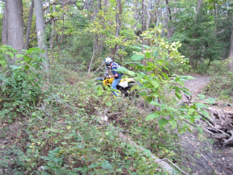 Dirt bike rider on a trail in the woods