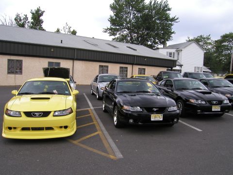 2001 Ford Mustang - Tony's "Yobra," PETSNKE and Jake