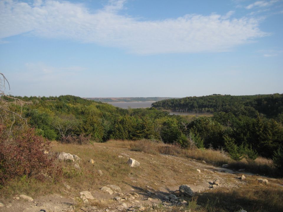 View of a wide river or lake surrounded by green trees under a blue sky with scattered clouds