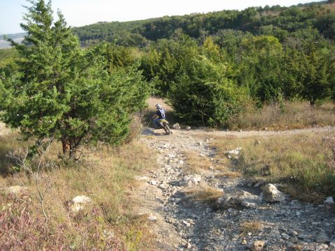 1993 Suzuki RMX250 - A lone motorcycle navigates a rough trail surrounded by trees and underbrush.