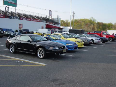 2001 Ford Mustang - A line of Mustangs, including a black coupe, are parked in a lot with a grandstand in the background.