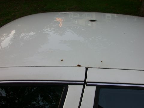 2000 Ford Crown Victoria - The roof of a white car shows signs of rust and reflections of the surrounding environment.