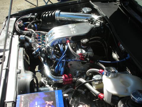 1998 Ford Crown Victoria - Customized engine bay with a prominent chrome intake manifold and various aftermarket parts.