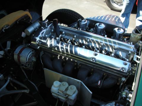 1998 Ford Crown Victoria - Close-up of a polished engine with visible exhaust manifolds and brake fluid reservoirs.