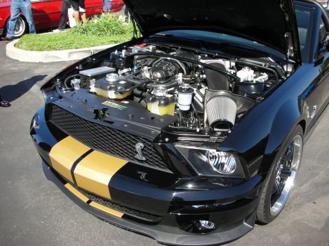 1998 Ford Crown Victoria - A black Ford Mustang with gold racing stripes is shown with its hood open, revealing the engine compartment.