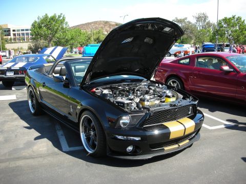 1998 Ford Crown Victoria - Black convertible Mustang with hood open at a car show, parked next to other vehicles.