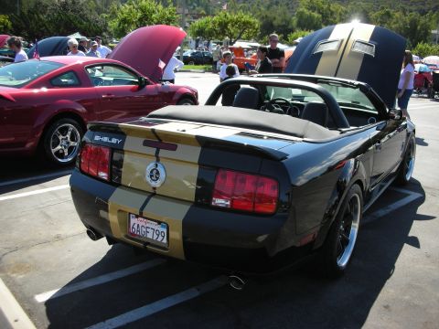 1998 Ford Crown Victoria - A black and gold Shelby Mustang convertible is parked at a car show, with another red car nearby.