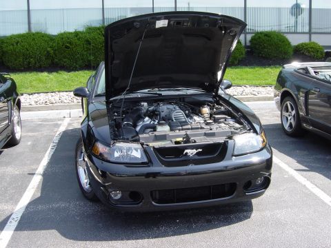 2001 Ford Mustang - Joel's Cobra