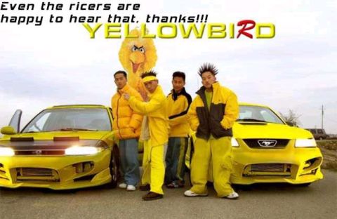 2001 Ford Mustang - Four men in yellow outfits stand with two yellow 2001 Ford Mustangs, one a Big Bird costume.