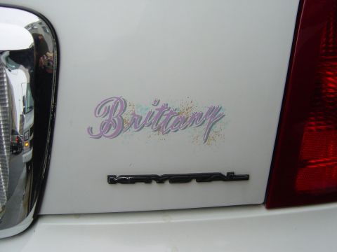 2001 Ford Mustang “PETSNKE”