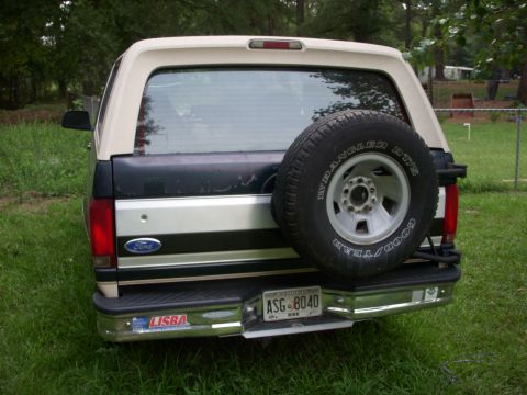 1993 Ford Bronco - Rear view of a 1993 Ford Bronco, showing the spare tire and license plate.