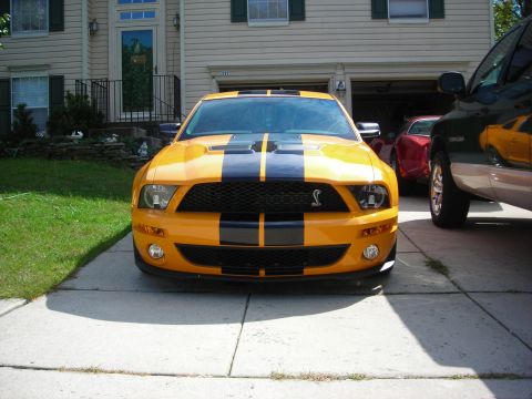 2008 Ford Mustang photo