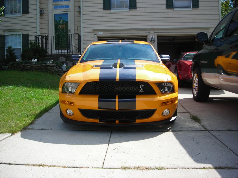 Yellow and black Shelby GT500 Mustang front view with racing stripes