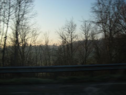 2001 Ford Crown Victoria - A view of a rural landscape with bare trees and a guardrail, possibly taken from a moving vehicle.