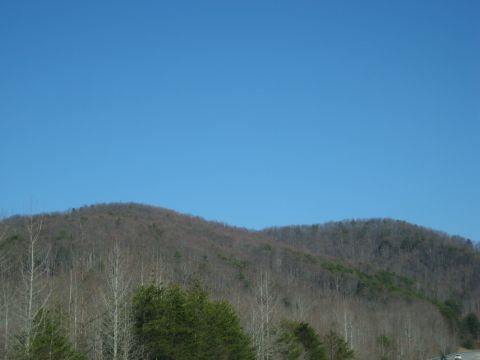 2001 Ford Crown Victoria - A scenic view of rolling, wooded hills under a bright blue sky, with a website logo in the lower right corner.