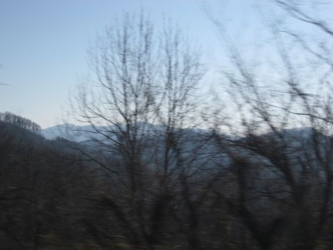 2001 Ford Crown Victoria - A blurry, distant view of trees and mountains suggests a landscape seen from a moving vehicle.