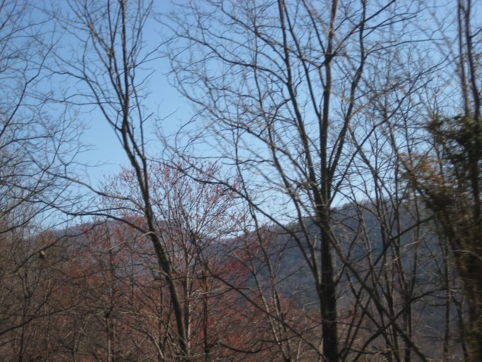 Bare trees and a distant hill under a clear blue sky. Watermark reads SUPERMOTORS