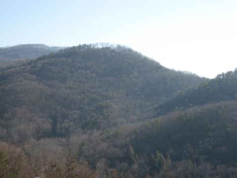 2001 Ford Crown Victoria - Hazy sky over forested mountains with bare trees and evergreens.