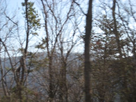 2001 Ford Crown Victoria - A blurry scene of trees and a distant hill, likely taken from a moving vehicle.