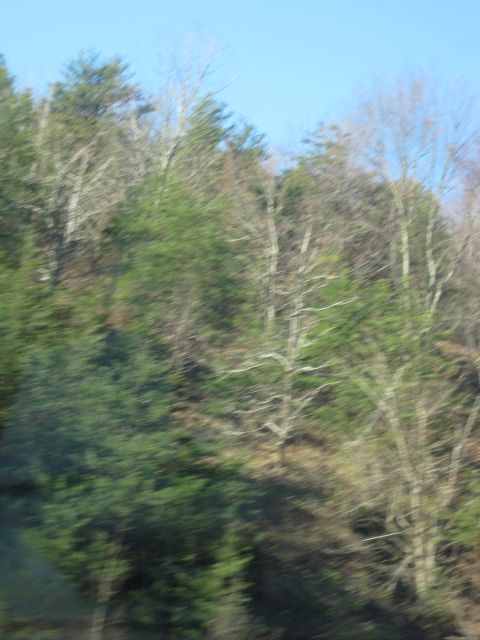 2001 Ford Crown Victoria - A blurry scene of trees on a hillside under a clear blue sky, with a Supermotors logo visible at the bottom.