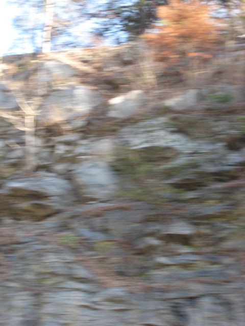 2001 Ford Crown Victoria - Blurry scene of a rocky hillside with trees, captured from a moving vehicle. Supermotors.net logo visible.