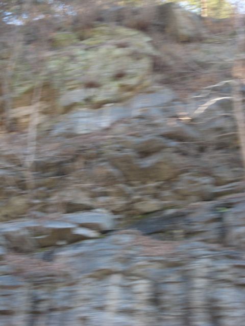 2001 Ford Crown Victoria - A blurry view of a rocky hillside with trees, likely taken from a moving vehicle.