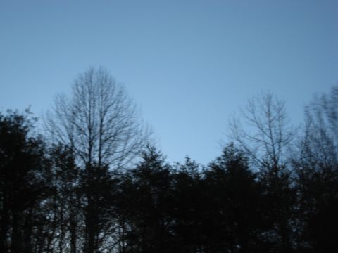 2001 Ford Crown Victoria - A clear blue sky is visible above the dark silhouettes of trees.
