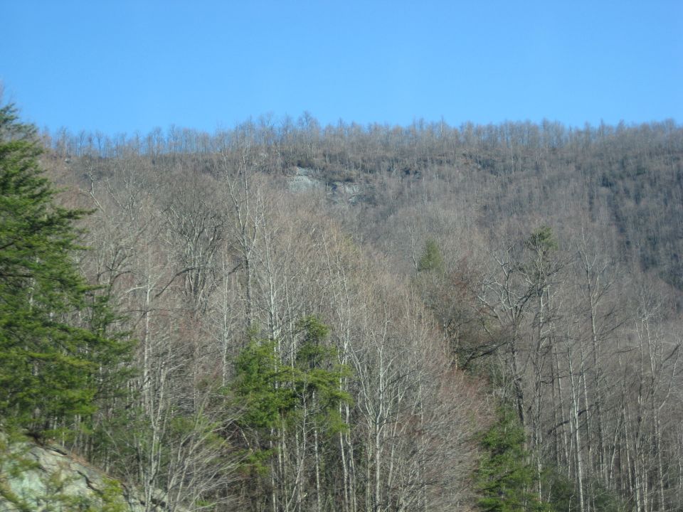 Wooded hillside under a clear blue sky with a Supermotors.net watermark