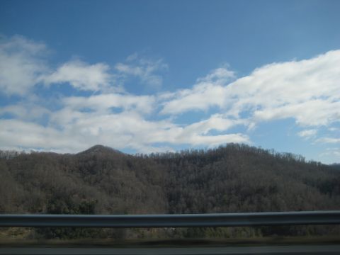 2001 Ford Crown Victoria - A scenic view of tree-covered mountains under a blue sky with scattered clouds, seen from a moving vehicle.