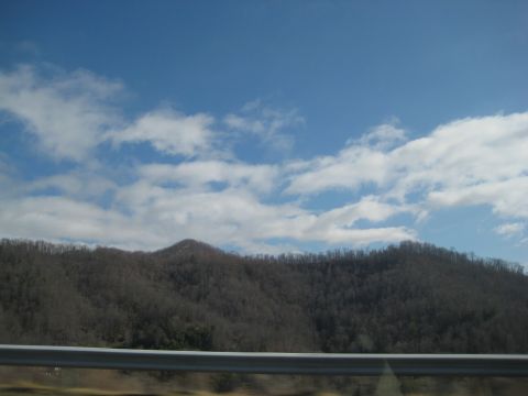 2001 Ford Crown Victoria - A view of a wooded hillside under a cloudy blue sky, with a metal guardrail in the foreground.