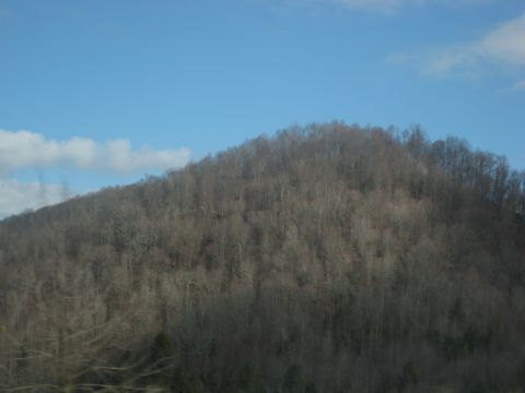 2001 Ford Crown Victoria - A view of a tree-covered hill on a clear day, with a watermark at the bottom.