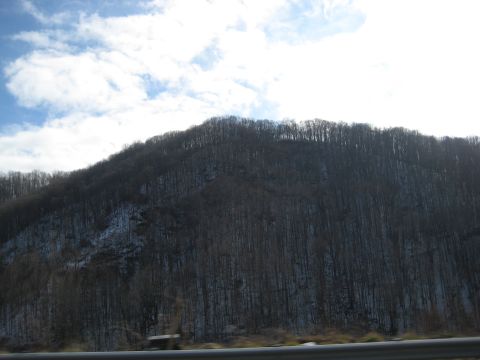 2001 Ford Crown Victoria - A vast mountain landscape with a dense forest and scattered snow under a partly cloudy sky.